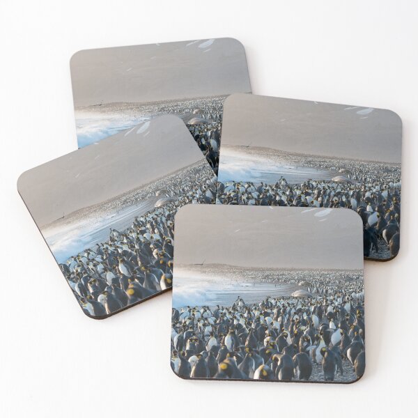 Item preview, Sunrise at St. Andrews Bay designed and sold by Mark Prior.