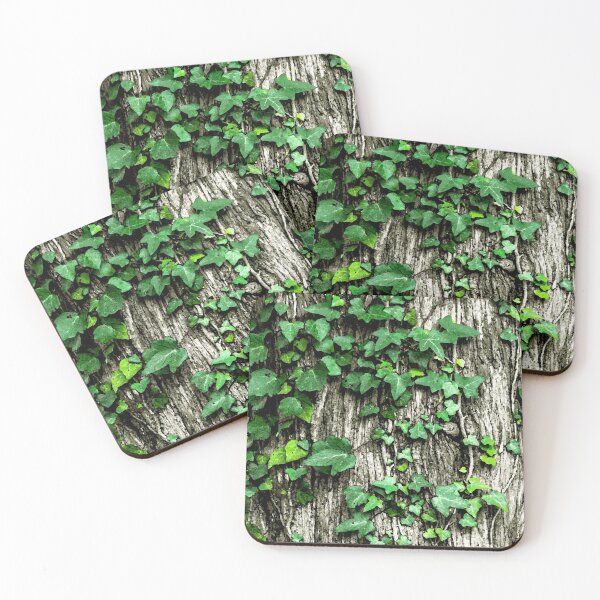 Item preview, Ivy vine designed and sold by kims-club.