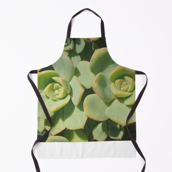 Item preview, Echeveria Succulent designed and sold by FunkyTowns.