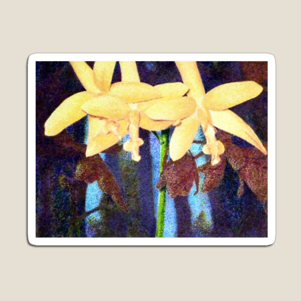 From the Orchid House 4 Magnet