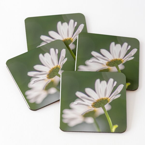 Item preview, Daisy designed and sold by Ingo Gerlach.
