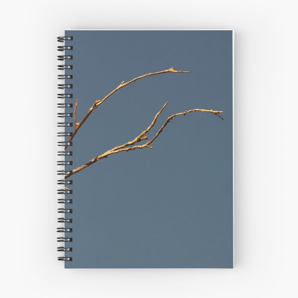 Item preview, Branch designed and sold by Geoff Wols.