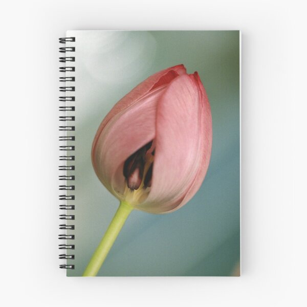 Item preview, Inner Beauty  designed and sold by Debjaphotography.