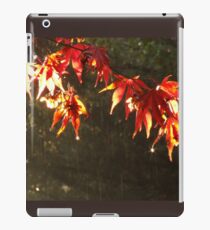 Acer Autumn Leaves iPad Case/Skin