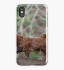 Intrepid Adventurer iPhone Case