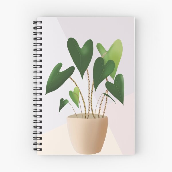 Item preview, Alocasia Zebrina designed and sold by YouCheekyCow.