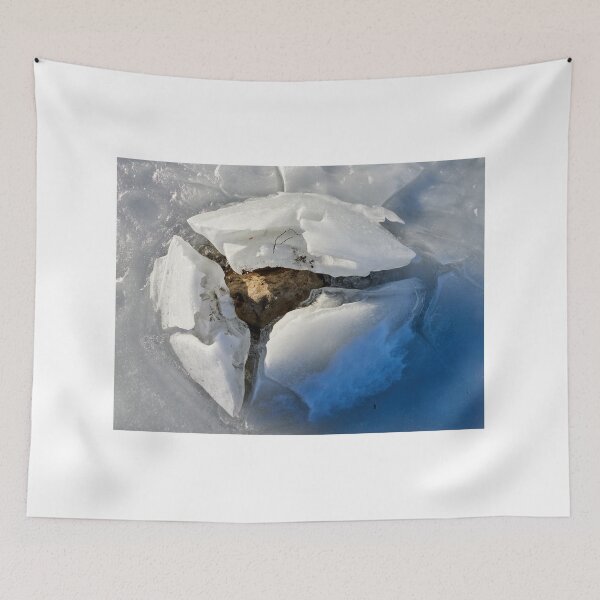 Item preview, The nest designed and sold by Jouko Lehto Photography.