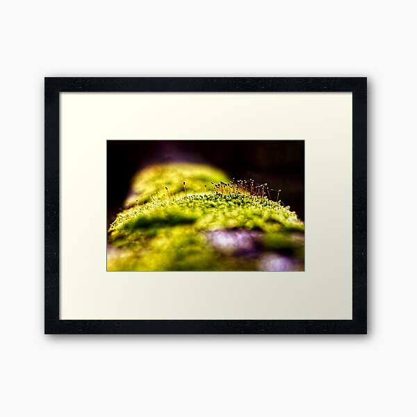 Item preview, Sprouting moss designed and sold by LerneKnipsen.