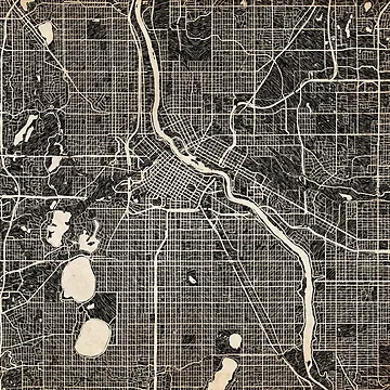 Aperçu de l'œuvre MINNEAPOLIS map Minnesota Ink lines de InkMaps