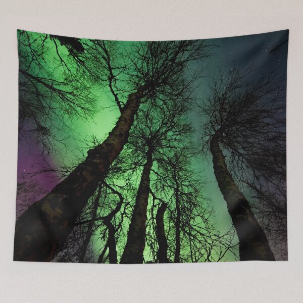 Item preview, magnetic forest with northern lights designed and sold by ImRotem.