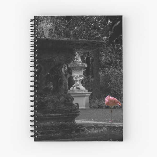 Aperçu de l'œuvre Flamants roses créée et vendue par danieledanph.