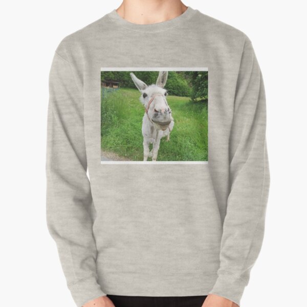 Donkey Image Sweatshirts Hoodies Redbubble