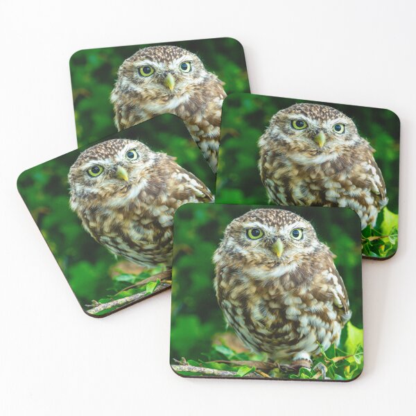 Item preview, Little Owl designed and sold by Dalyndigital Photography.
