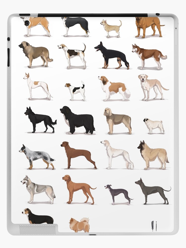 Dog Breeds Dog Breed Names, Dog Breeds Chart, Top Dog Breeds