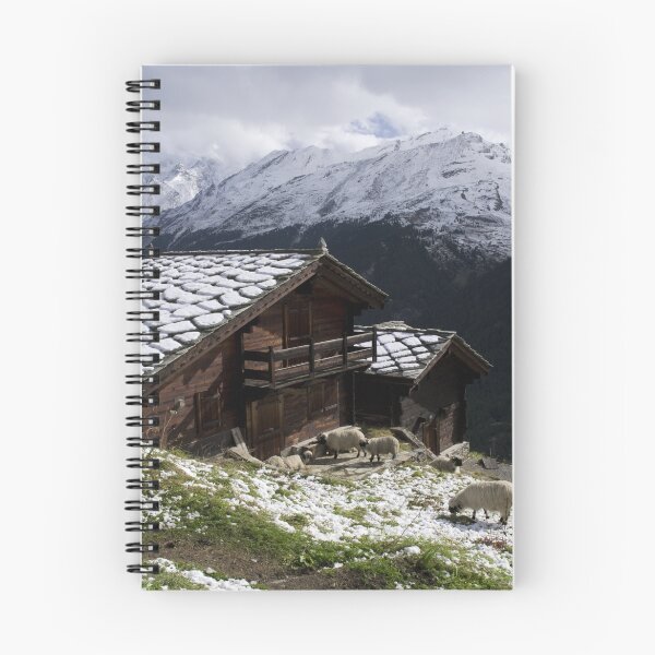 Item preview, chalet designed and sold by paolo amiotti.