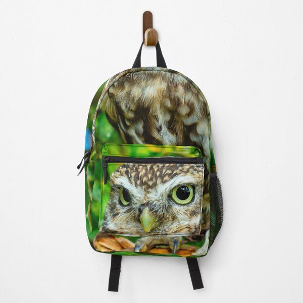 Item preview, Falconers little Owl designed and sold by Dalyndigital Photography.