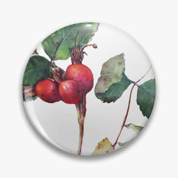Item preview, Dogrose, rosehip, wild rose, dog rose designed and sold by Terinery.