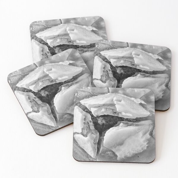 Item preview, The nest bw designed and sold by Jouko Lehto Photography.