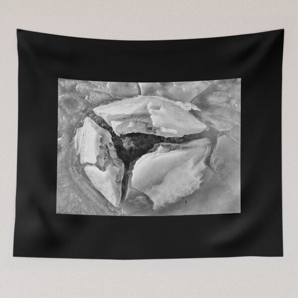 Item preview, The nest bw designed and sold by Jouko Lehto Photography.