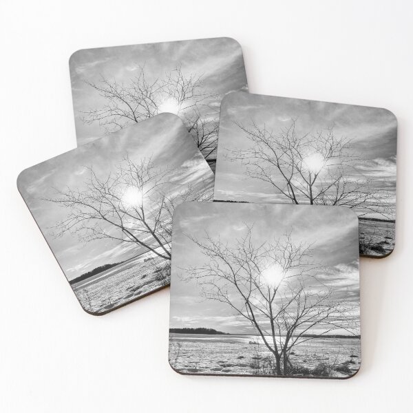 Item preview, The signs of spring are there bw designed and sold by Jouko Lehto Photography.