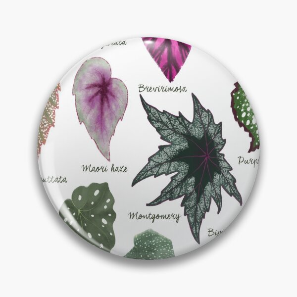 Item preview, Begonia leaves species varieties art print botanical illustration designed and sold by Onyria Art.