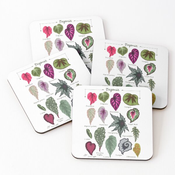 Item preview, Begonia leaves species varieties art print botanical illustration designed and sold by Onyria Art.