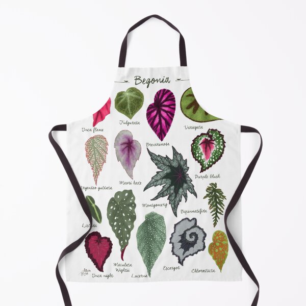 Item preview, Begonia leaves species varieties art print botanical illustration designed and sold by Onyria Art.