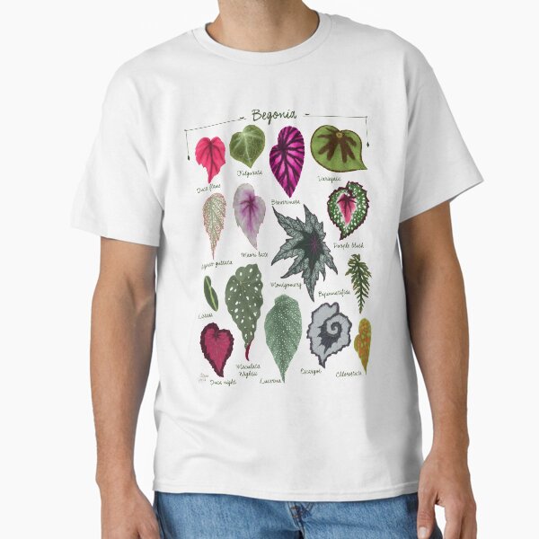 Item preview, Begonia leaves species varieties art print botanical illustration designed and sold by Onyria Art.