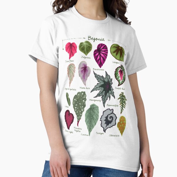 Item preview, Begonia leaves species varieties art print botanical illustration designed and sold by Onyria Art.