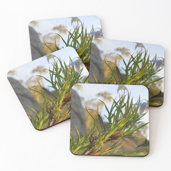 Item preview, Blue spring flower in Western Australia designed and sold by FunkyTowns.