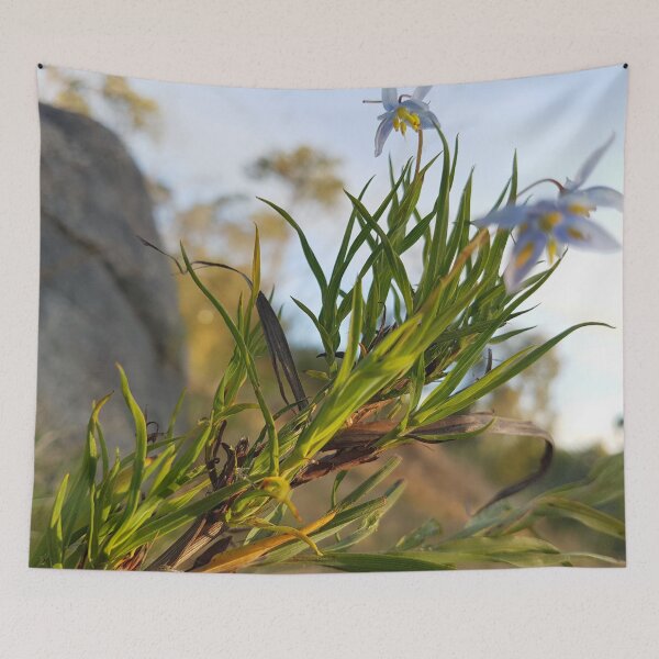 Item preview, Blue spring flower in Western Australia designed and sold by FunkyTowns.