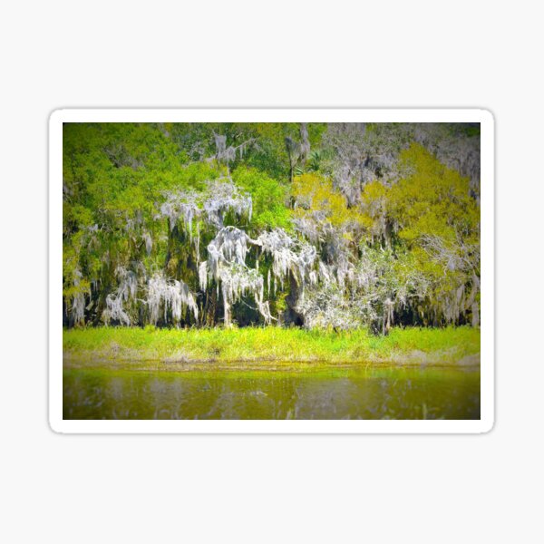 Item preview, Spanish moss lollapalooza designed and sold by B. Randi Bailey.