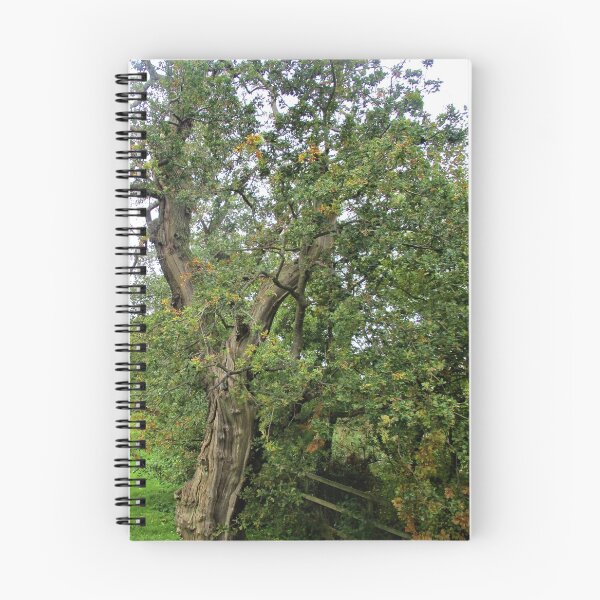 Item preview, Tree In A Field designed and sold by realdorypanda.