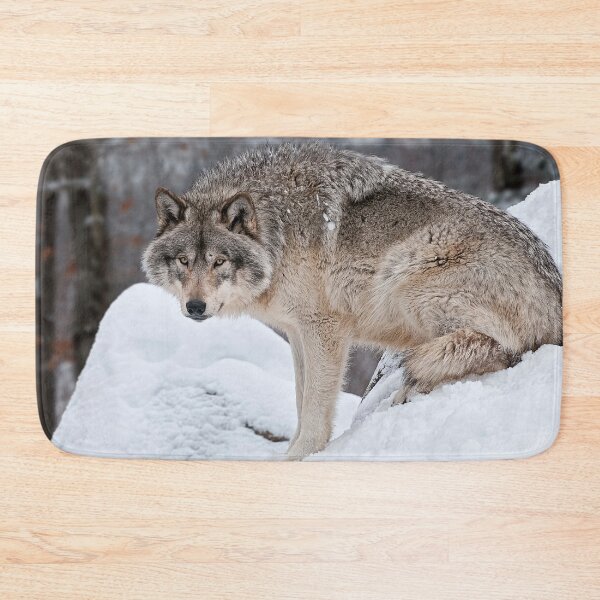 Item preview, Gray Squirrel designed and sold by Michael Cummings.