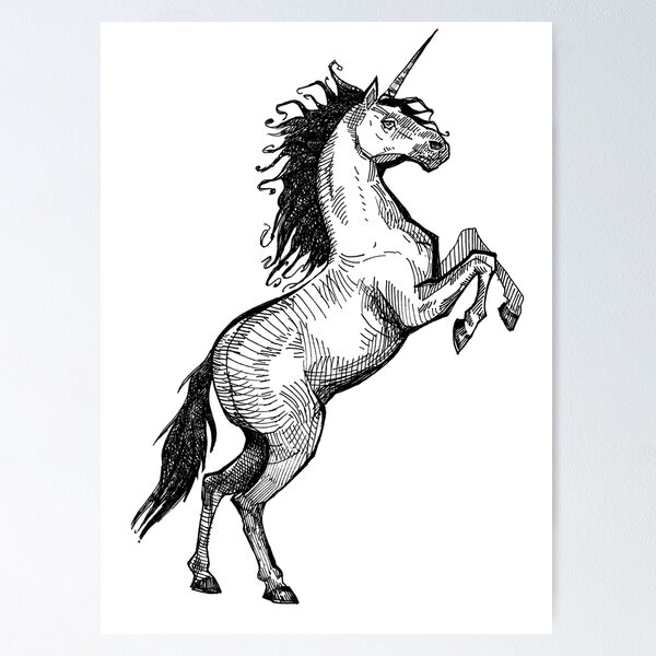 Drawing of the Colorful Unicorn Horse Beauty Black and White · Creative  Fabrica