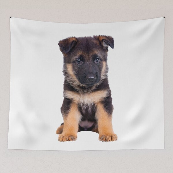 Item preview, German Shepherd Puppy, Cute Alsatian designed and sold by WearItOwnIt.