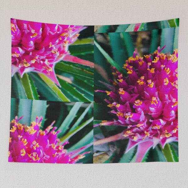 Item preview, Pink Purple beautiful Australian flower photograph picture Melbourne designed and sold by MelbourneGarden.