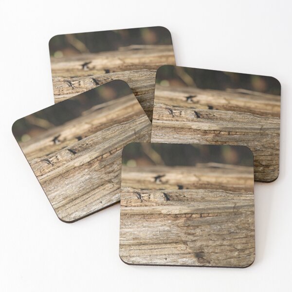 Item preview, Weathered log in the garden designed and sold by wineandwords.