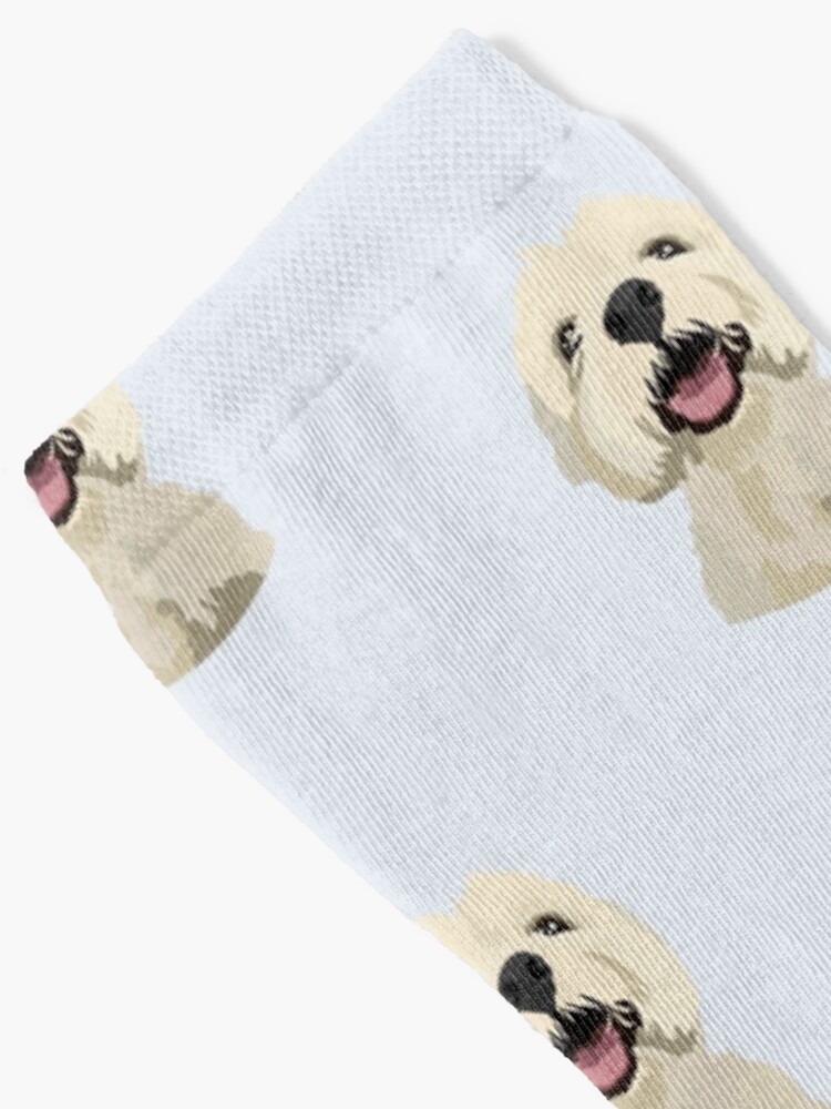 Maltese dog socks best sale