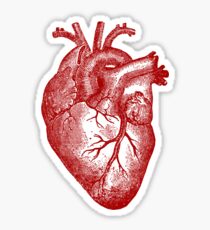 Vintage Herz Anatomie Sticker