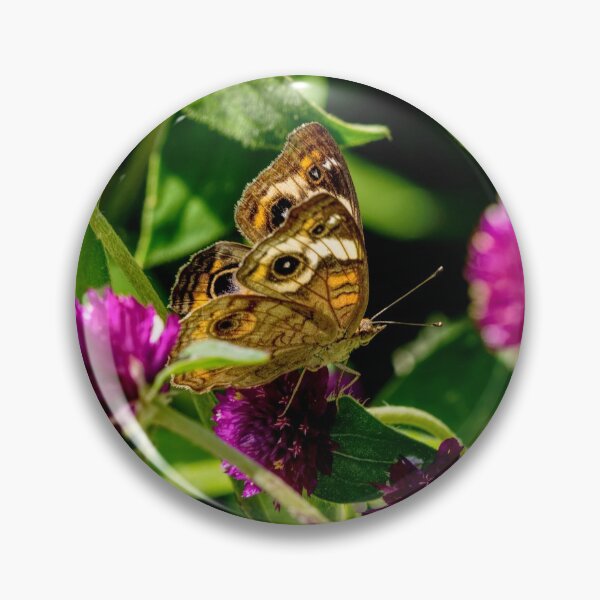 Item preview, Buckeye Butterfly On Globe Amaranth designed and sold by mljdwhite.