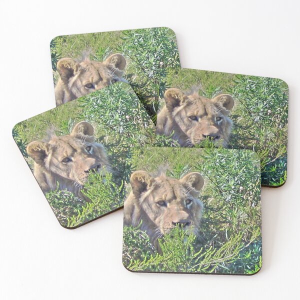 Item preview, Lion in the bush designed and sold by NJH110.