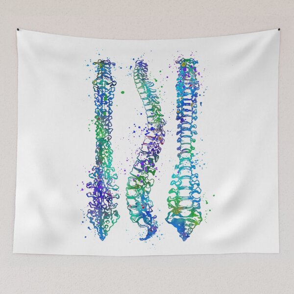 Item preview, Human Spine Colorful Anatomy Artwork designed and sold by LotusGifts.