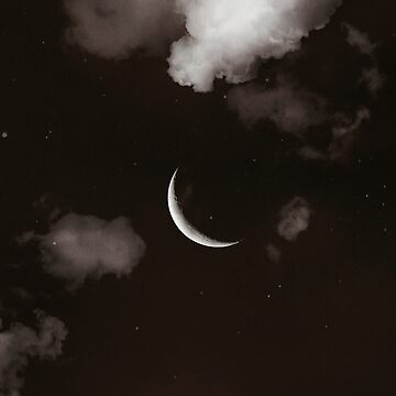 gothic aesthetic vibe in a dark sky with the moon and branches