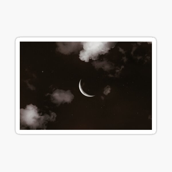 gothic aesthetic vibe in a dark sky with the moon and branches