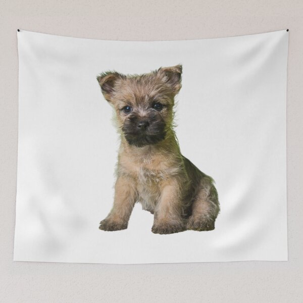 Item preview, Cairn Terrier Puppy designed and sold by WearItOwnIt.