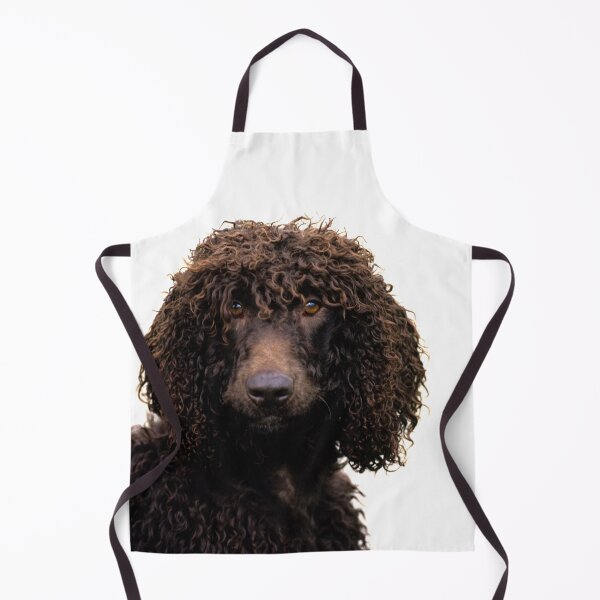 Item preview, Irish Water Spaniel designed and sold by WearItOwnIt.