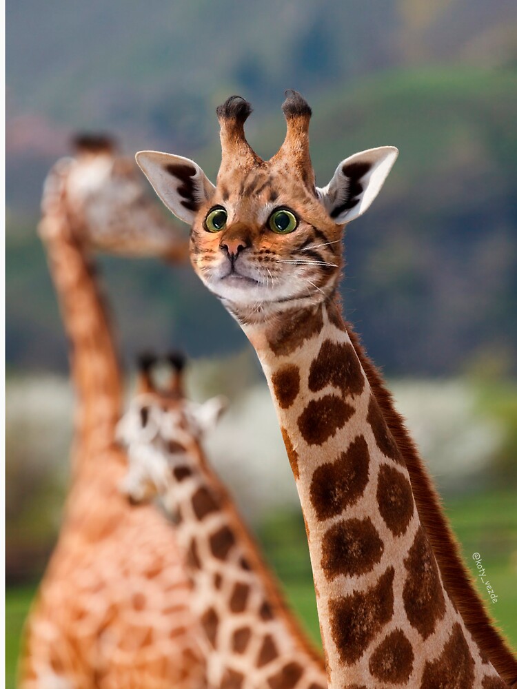 Giraffe Cutie T-Shirt - Design 3 - Animal Social Company