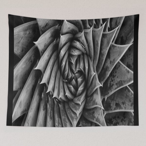 Item preview, Aloe Polyphylla pattern  designed and sold by funniesttext.