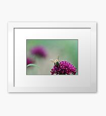 bee mine Framed Print